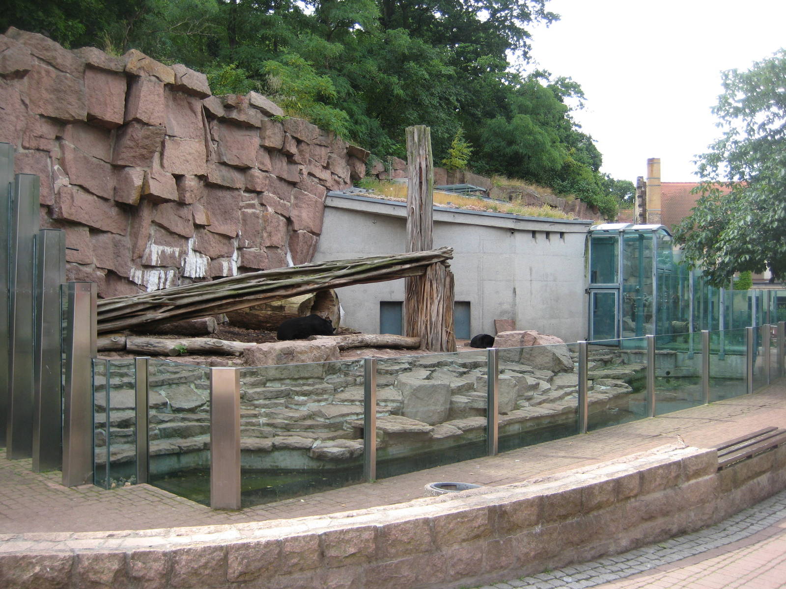 Aisan Black bear Exhibit