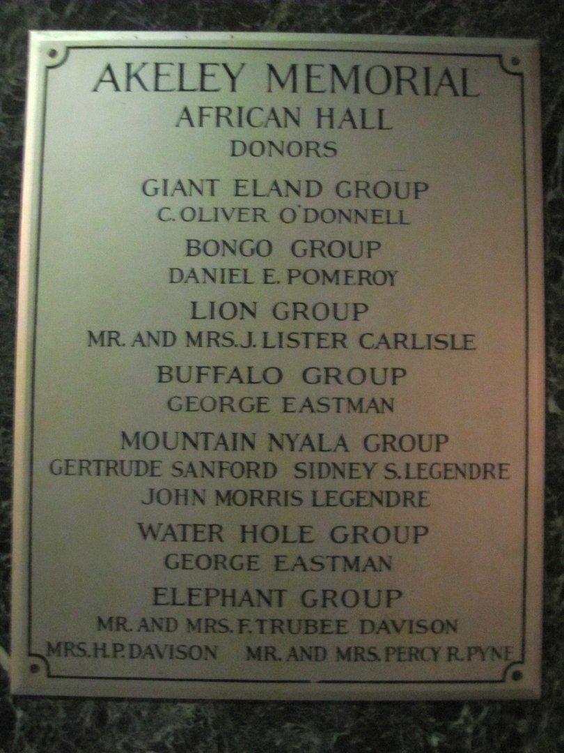 Akeley Hall of African Mammals Donors Plaque 1