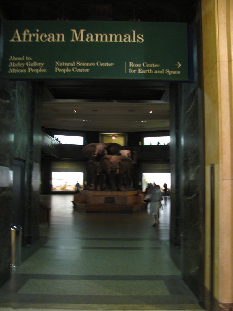 Akeley Hall of African Mammals Entrance