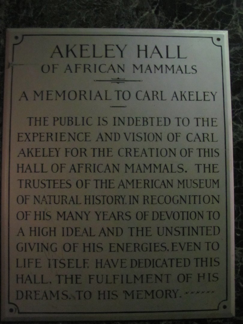 Akeley Hall of African Mammals Memorial Plaque