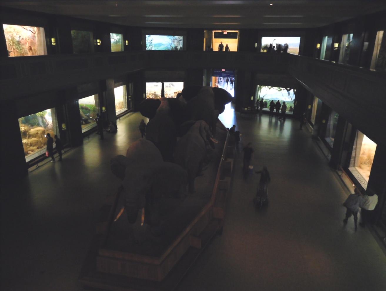 Akeley Hall of Mammals