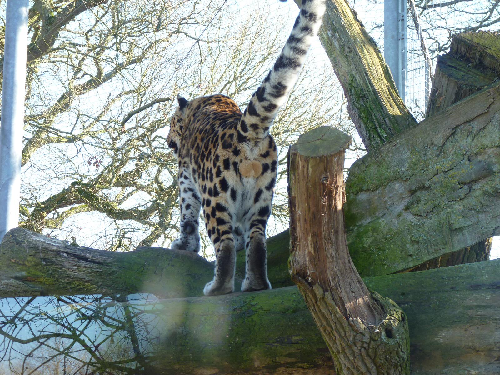 Akin tells the public what he thinks of them.