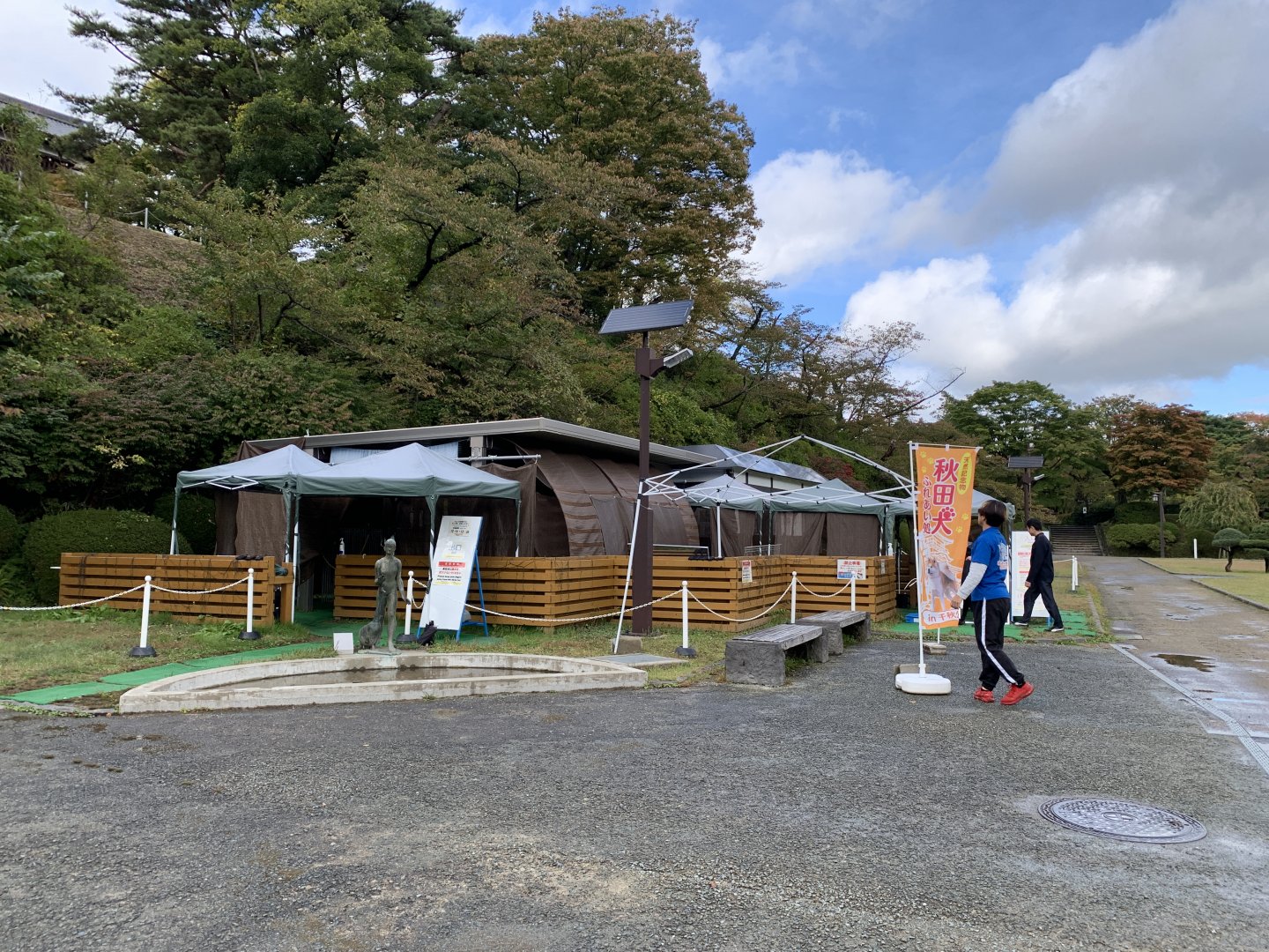 Akita Inu Viewing Area