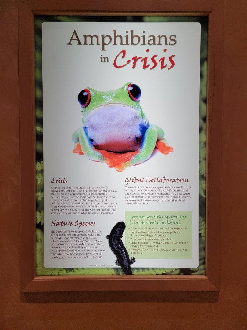 Akron Zoo - Amphibians in Crisis sign