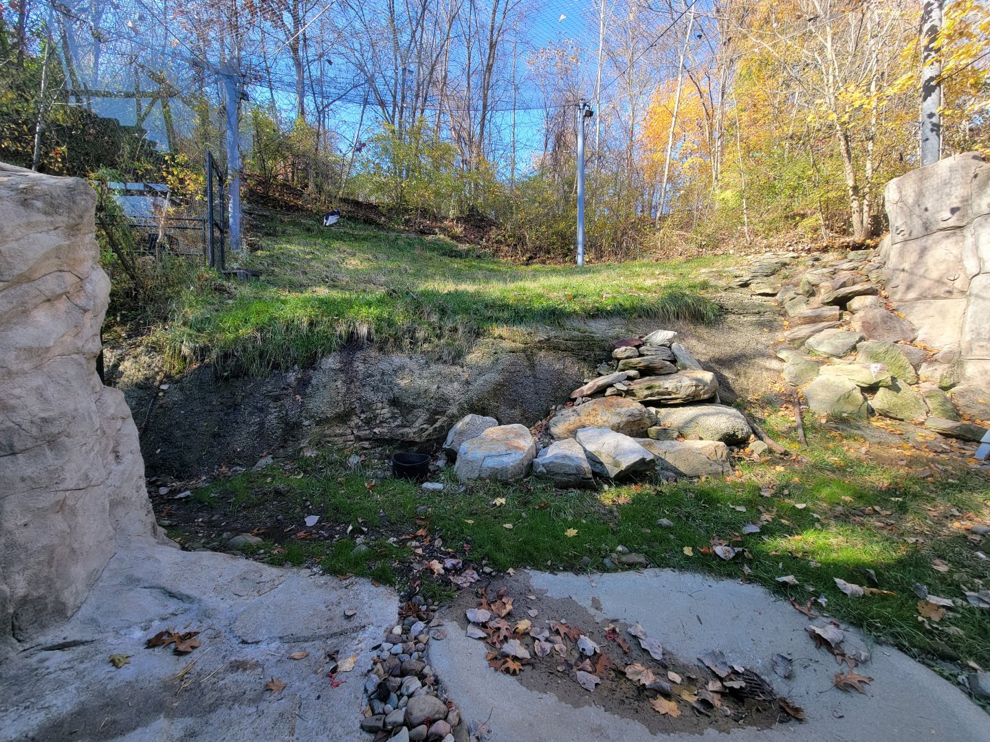 Akron Zoo - Andean condor exhibit