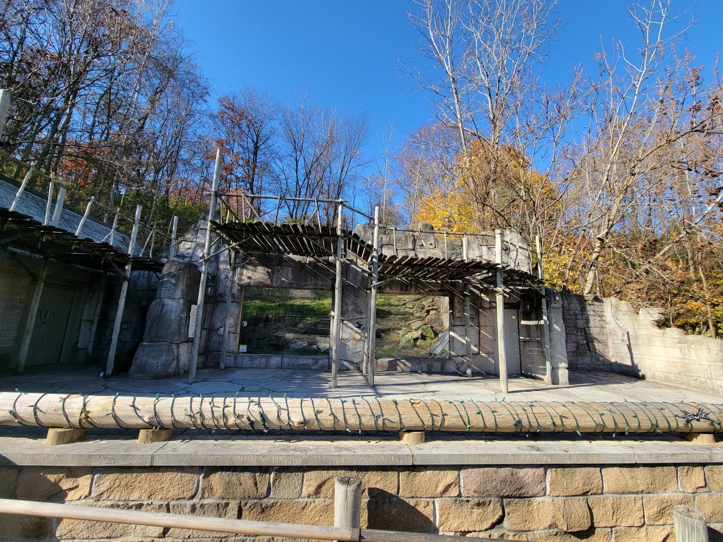Akron Zoo - Andean condor exhibit
