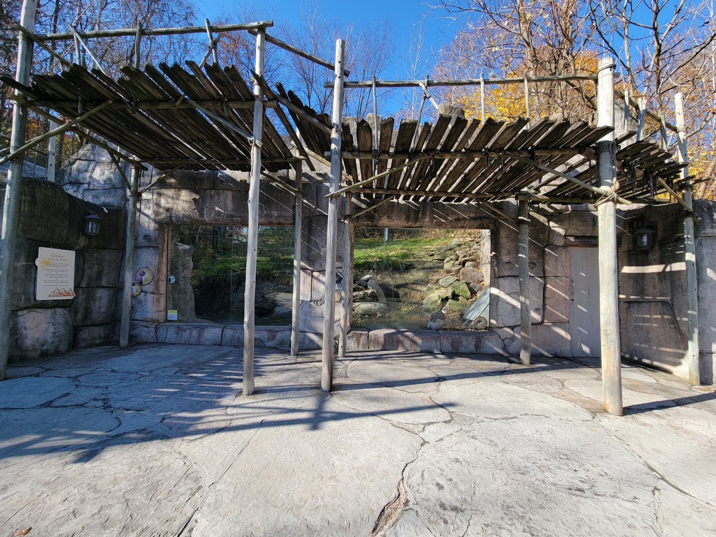 Akron Zoo - Andean condor viewing window