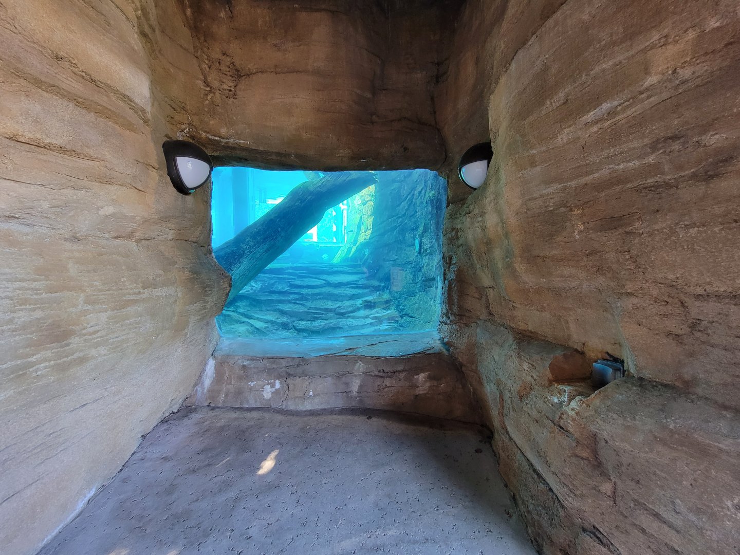 Akron Zoo - Another otter viewing window
