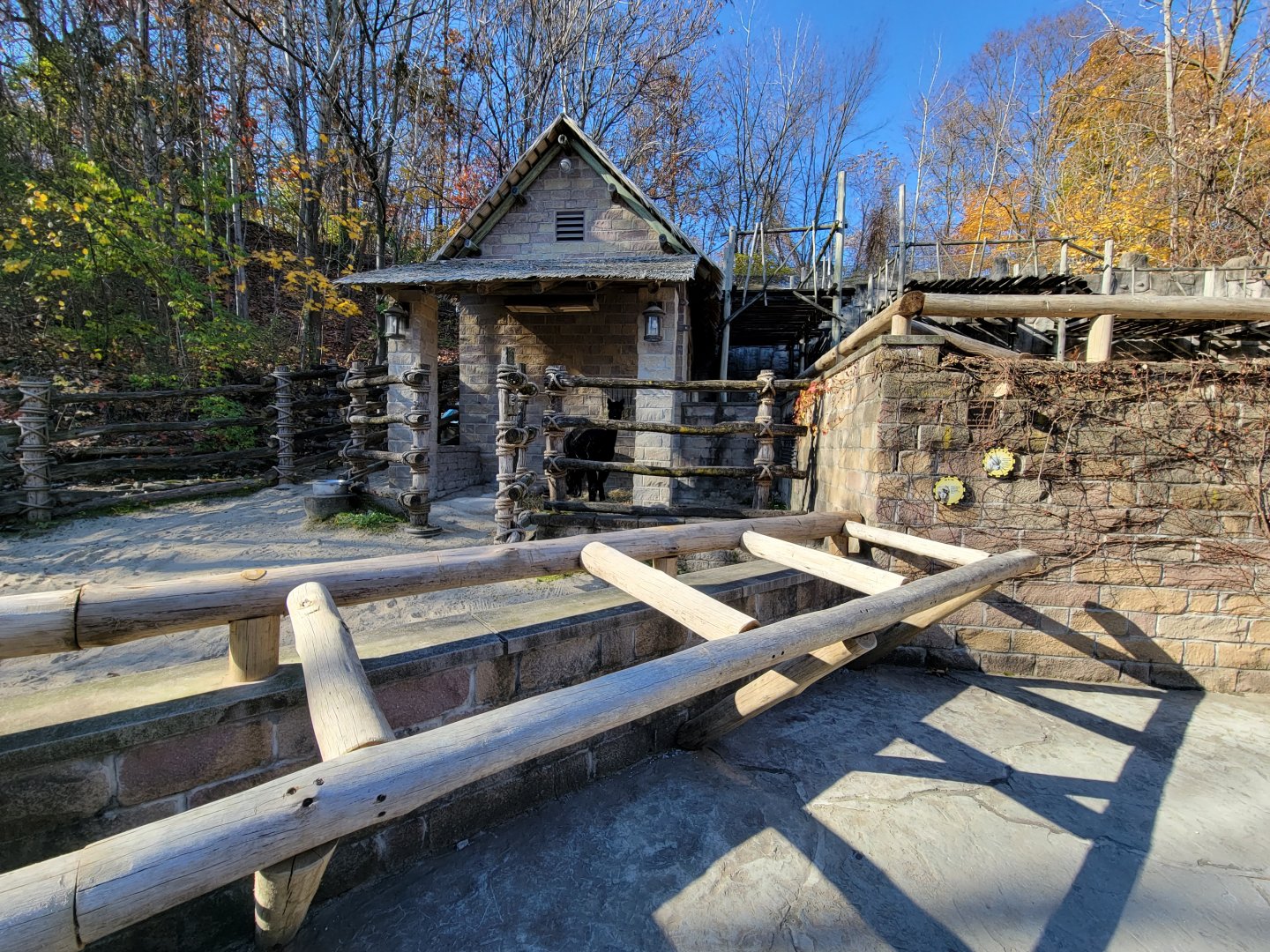 Akron Zoo - Awful alpaca exhibit
