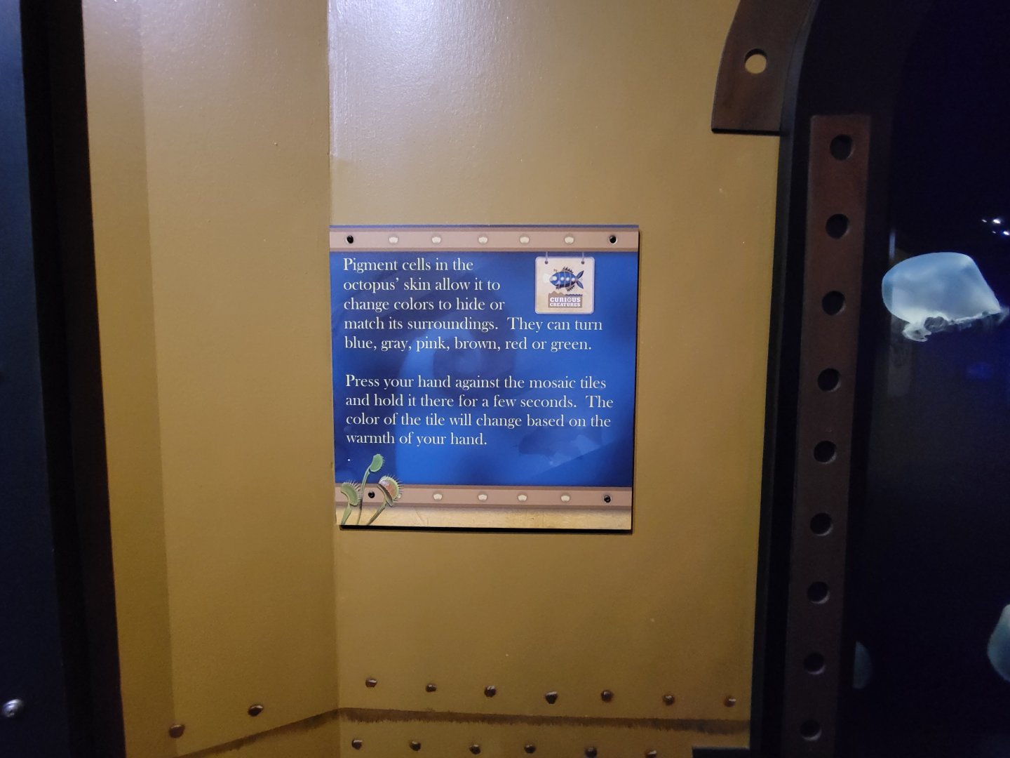 Akron Zoo - Curious Creatures, change the color of the tiles with your hands, like an octopus changes pigment