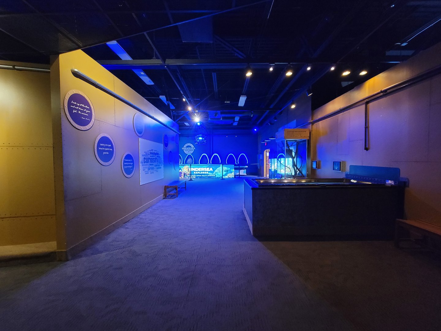 Akron Zoo - Curious Creatures, former touch table, VR station