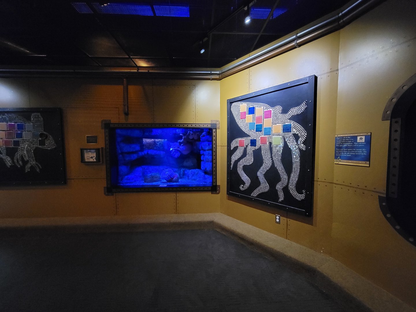 Akron Zoo - Curious Creatures, GPO exhibit and color-changing mosaic