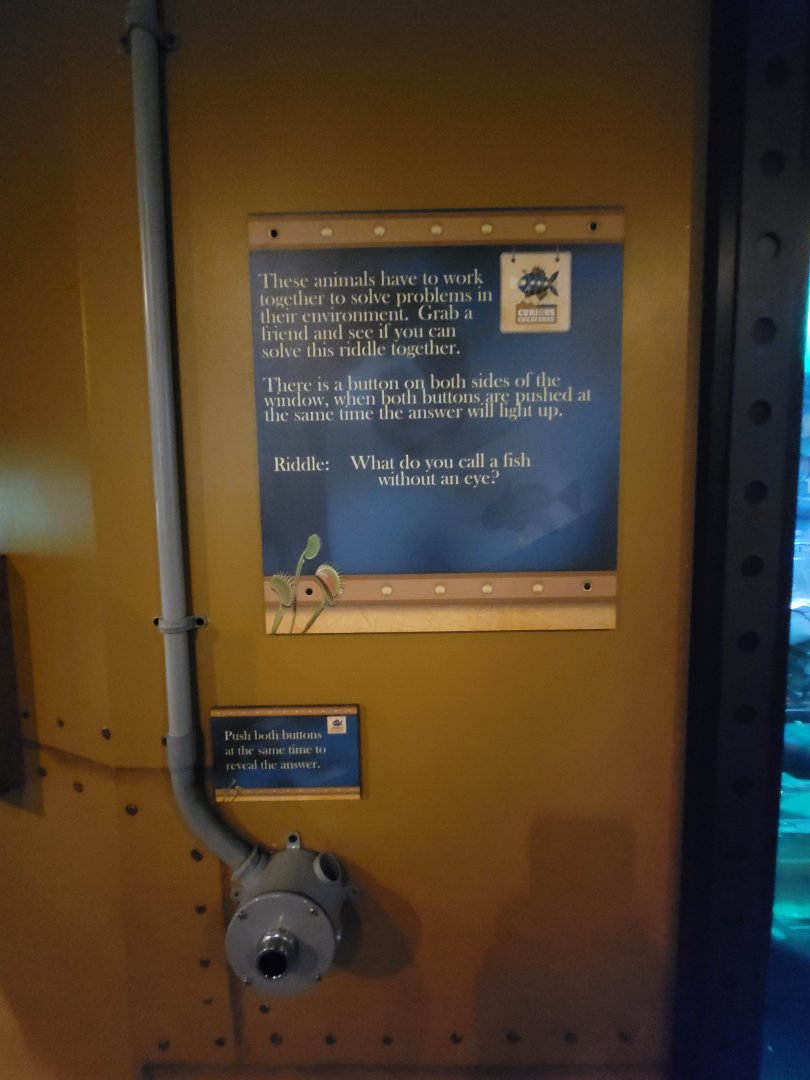 Akron Zoo - Curious Creatures, work together to solve problems