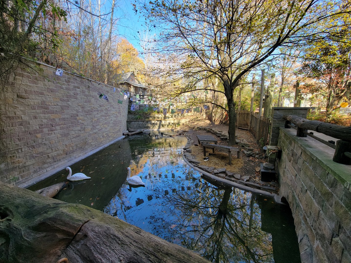 Akron Zoo - Duck pond