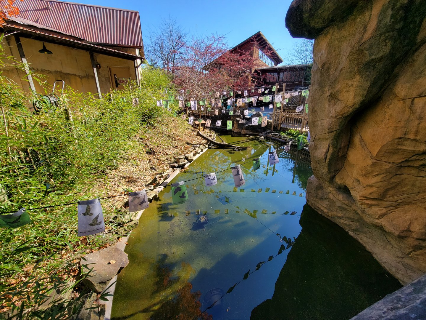 Akron Zoo - Duck pond