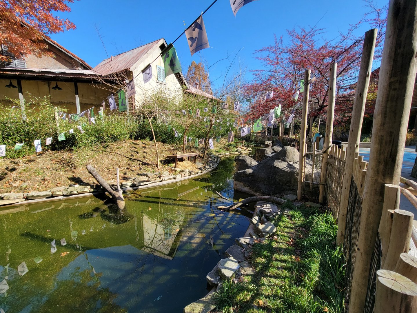 Akron Zoo - Duck pond