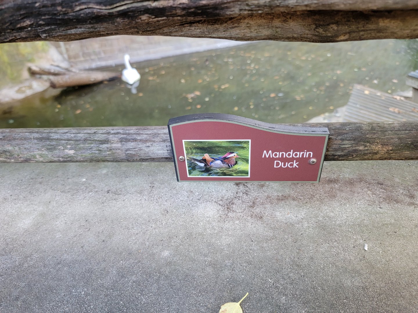 Akron Zoo - Example of duck signage