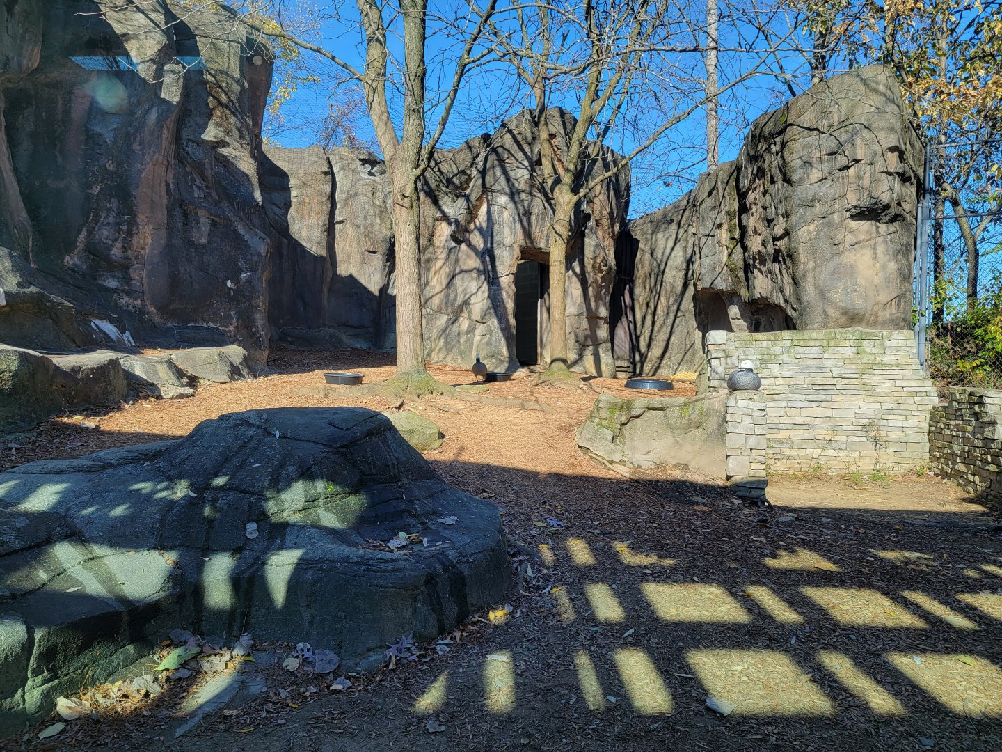 Akron Zoo - Exhibit next to snow leopards, holding Emperor goose on my visit