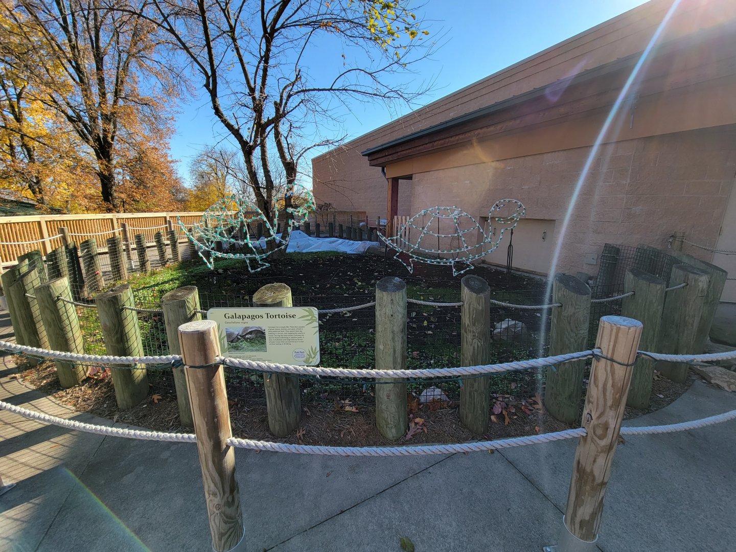 Akron Zoo - Galapagos tortoise outside area