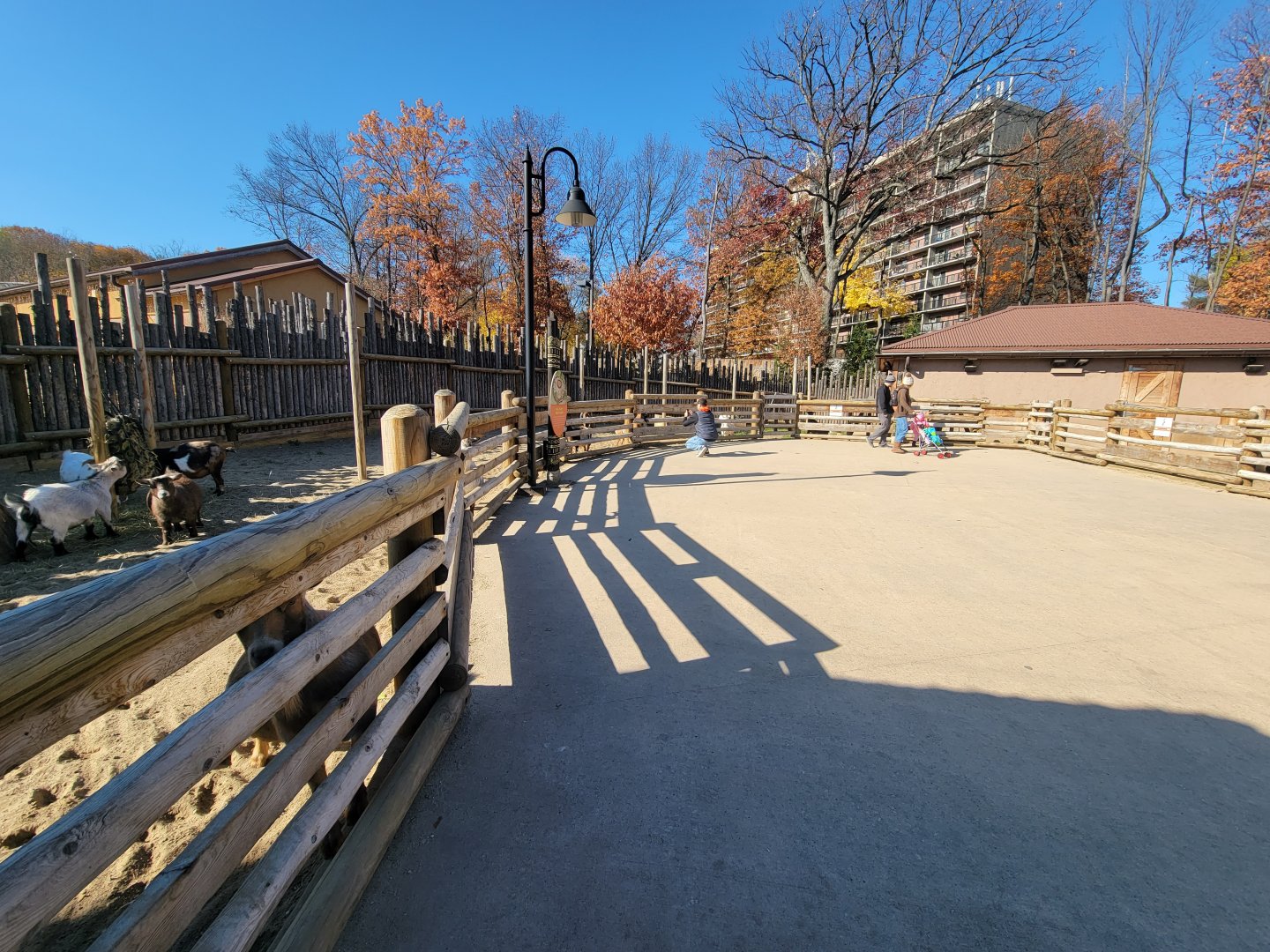 Akron Zoo - Goat petting boma area