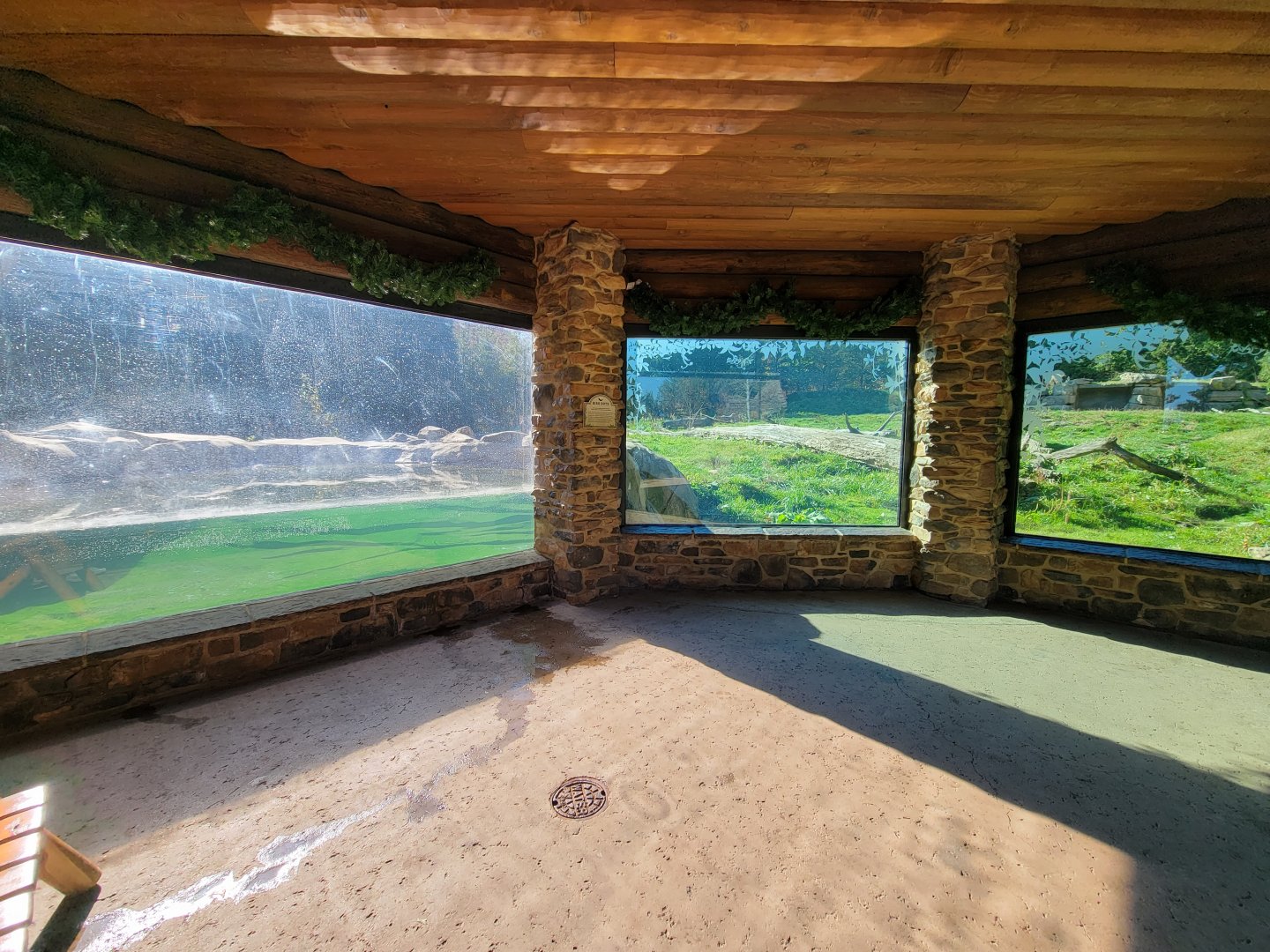 Akron Zoo - Grizzly bear lower viewing windows