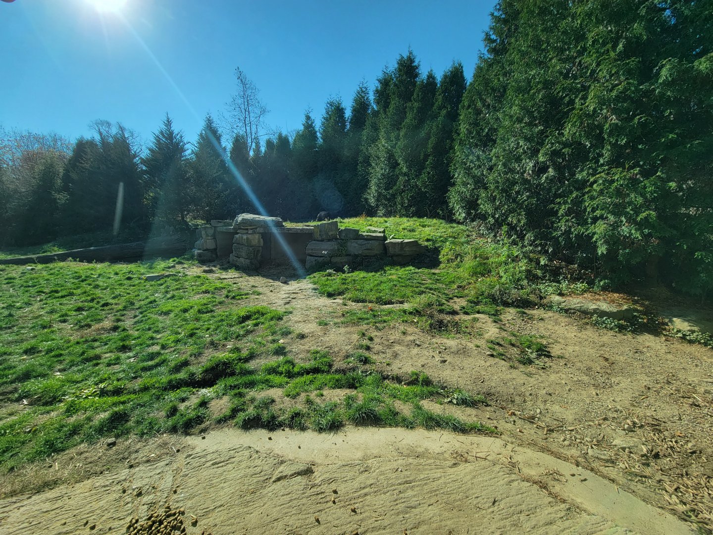 Akron Zoo - Grizzly bears upper viewing
