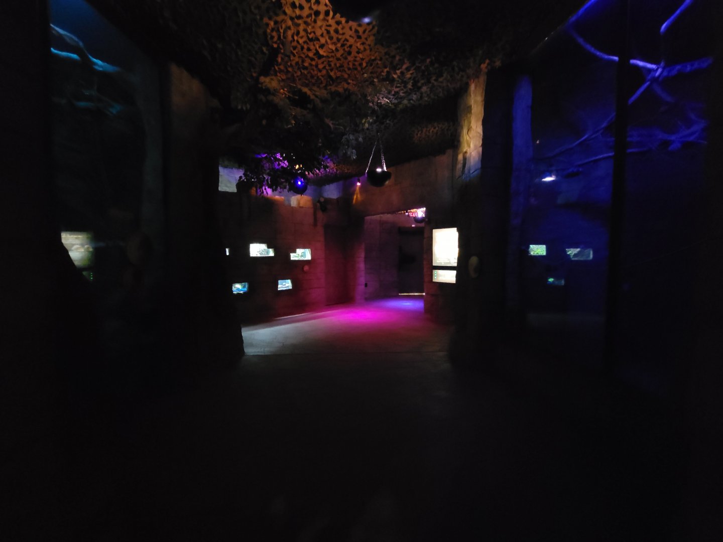 Akron Zoo - Inside bat building