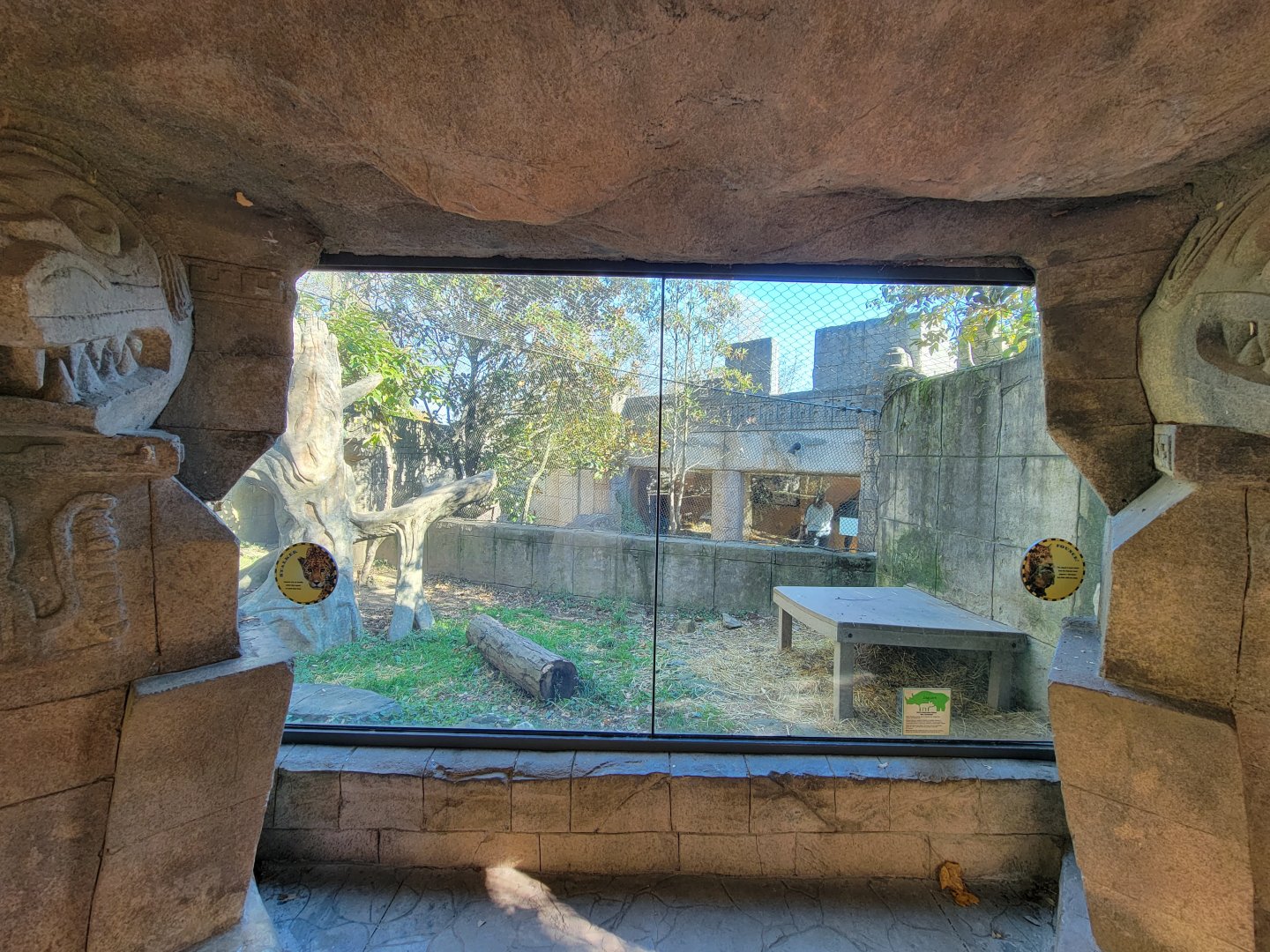 Akron Zoo - Jaguar exhibit, with predator/prey set-up with Patagonian mara