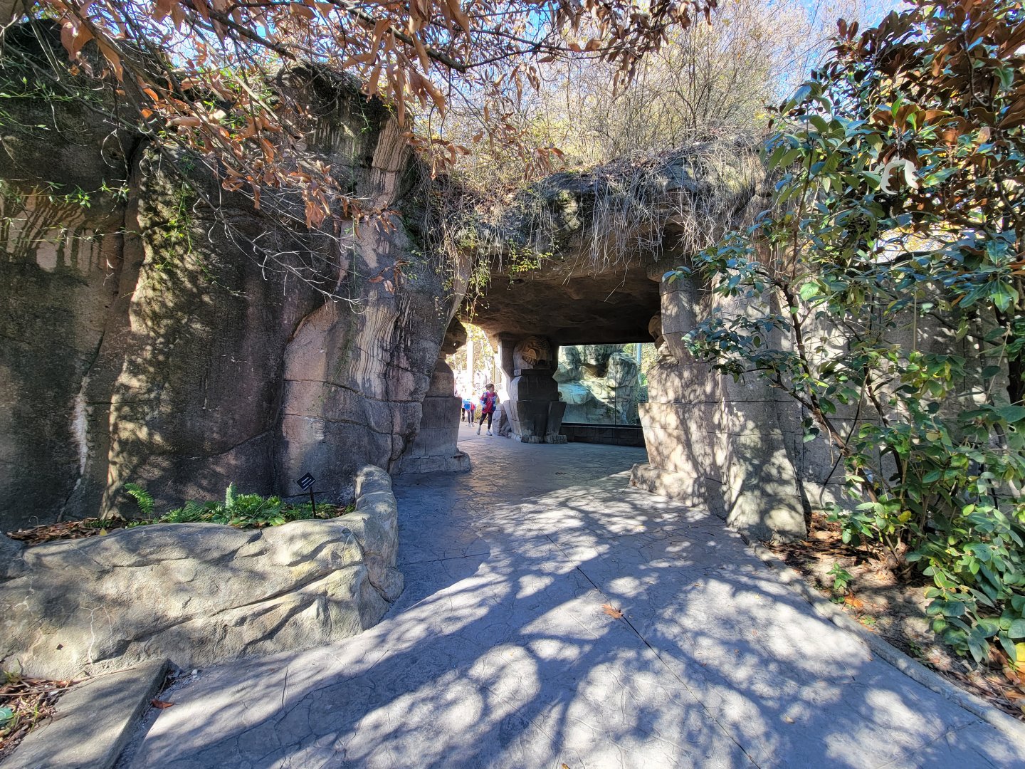 Akron Zoo - Jaguar exhibit