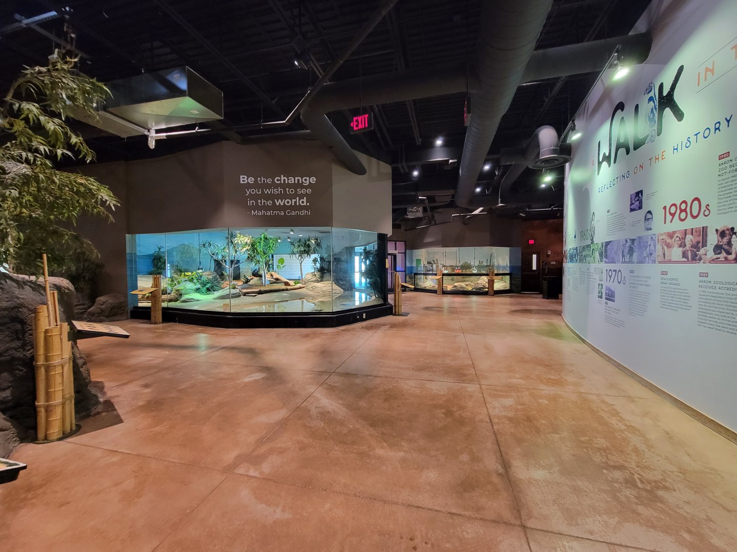 Akron Zoo - Komodo dragon exhibit