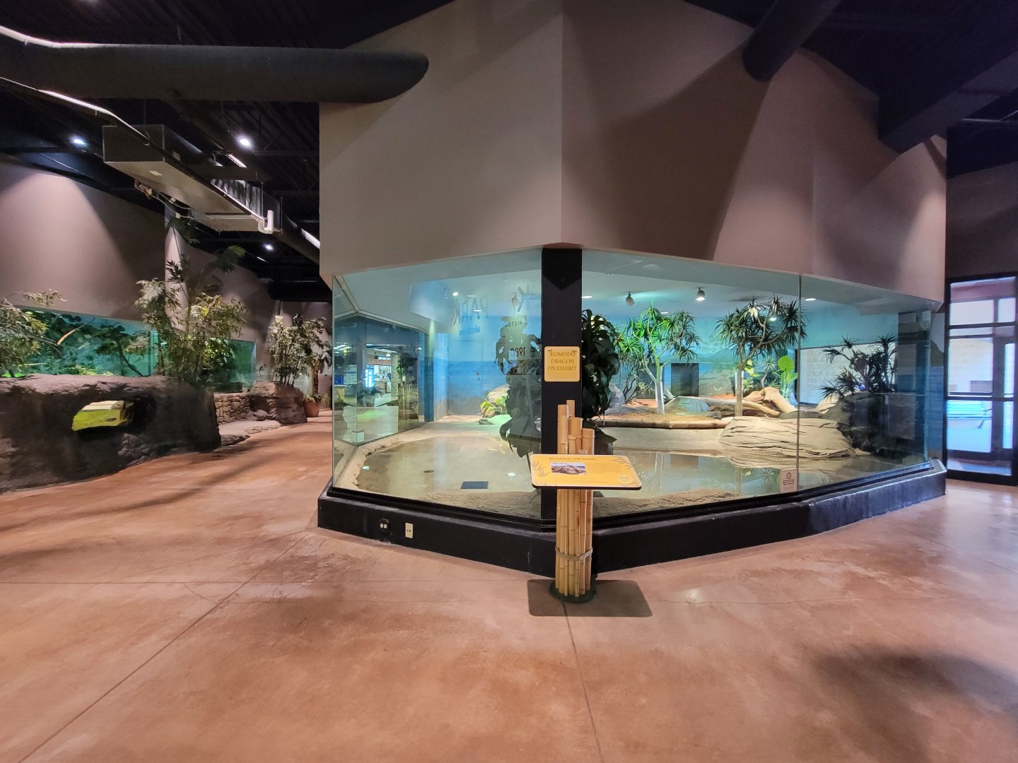 Akron Zoo - Komodo dragon exhibit