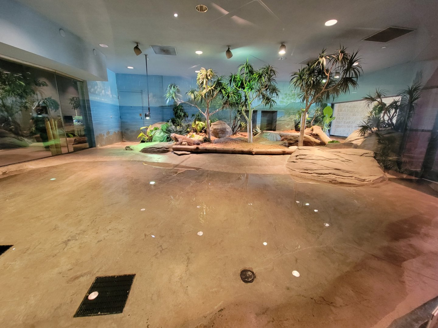 Akron Zoo - Komodo dragon exhibit