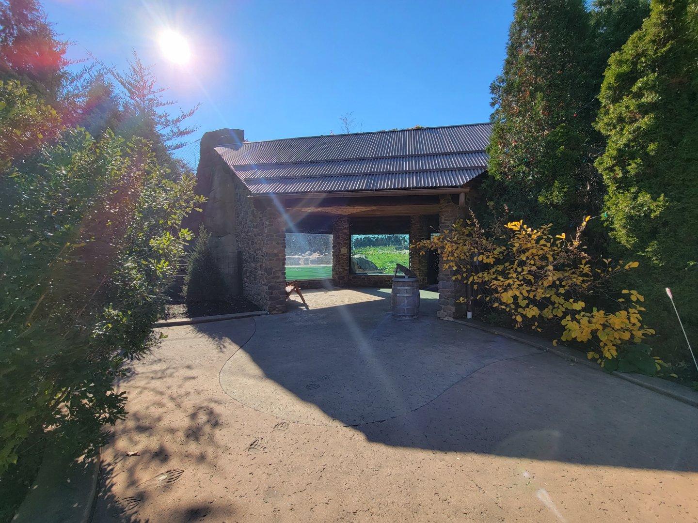 Akron Zoo - Lower grizzly bear viewing