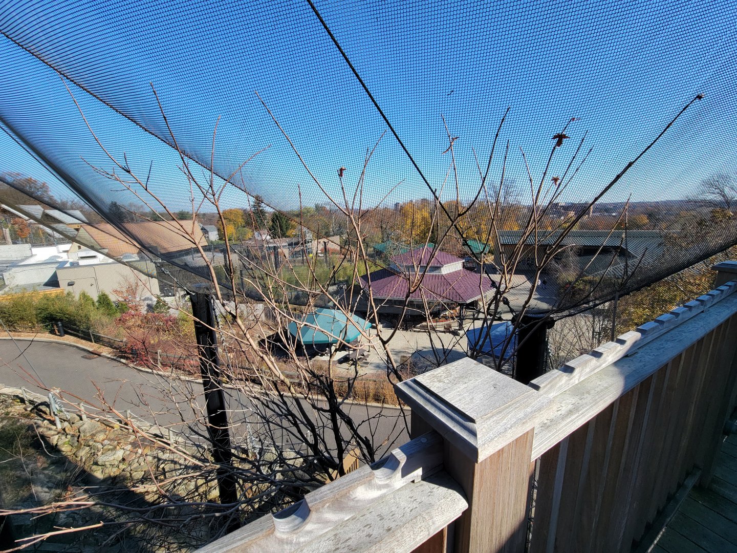Akron Zoo - Native aviary, view of carousel from above