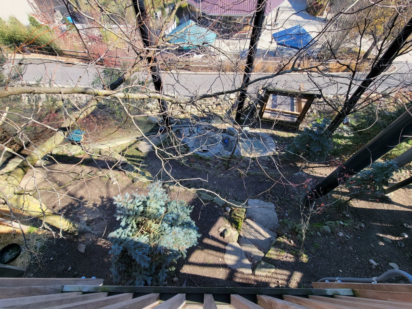 Akron Zoo - Native aviary