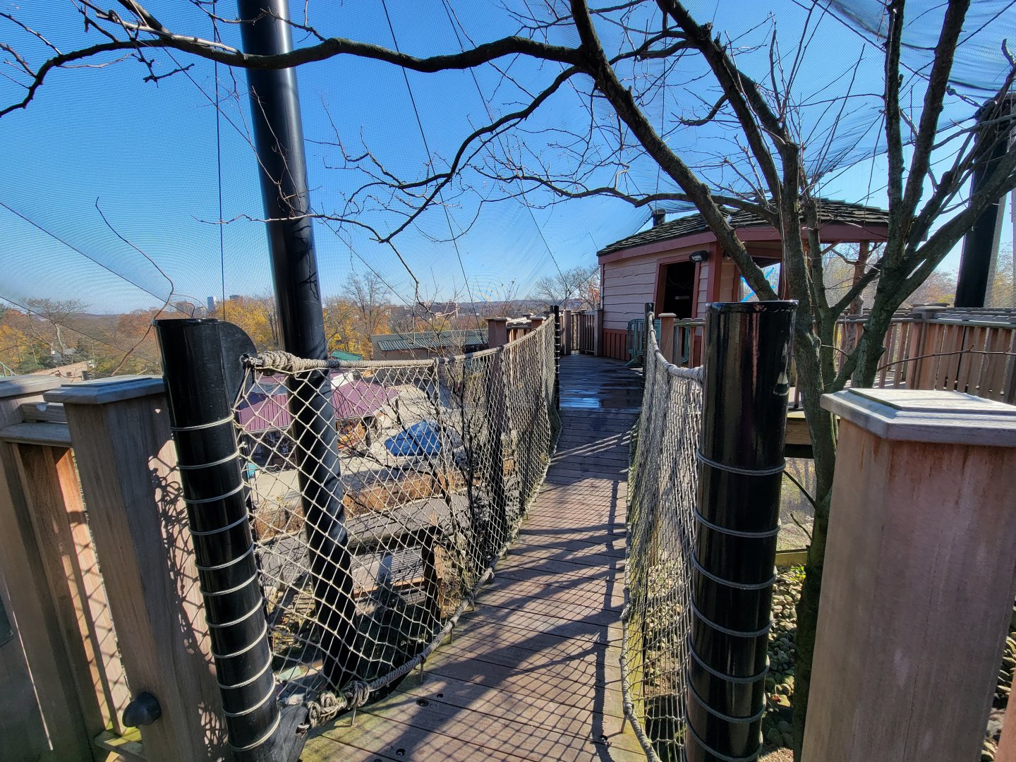 Akron Zoo - Native aviary