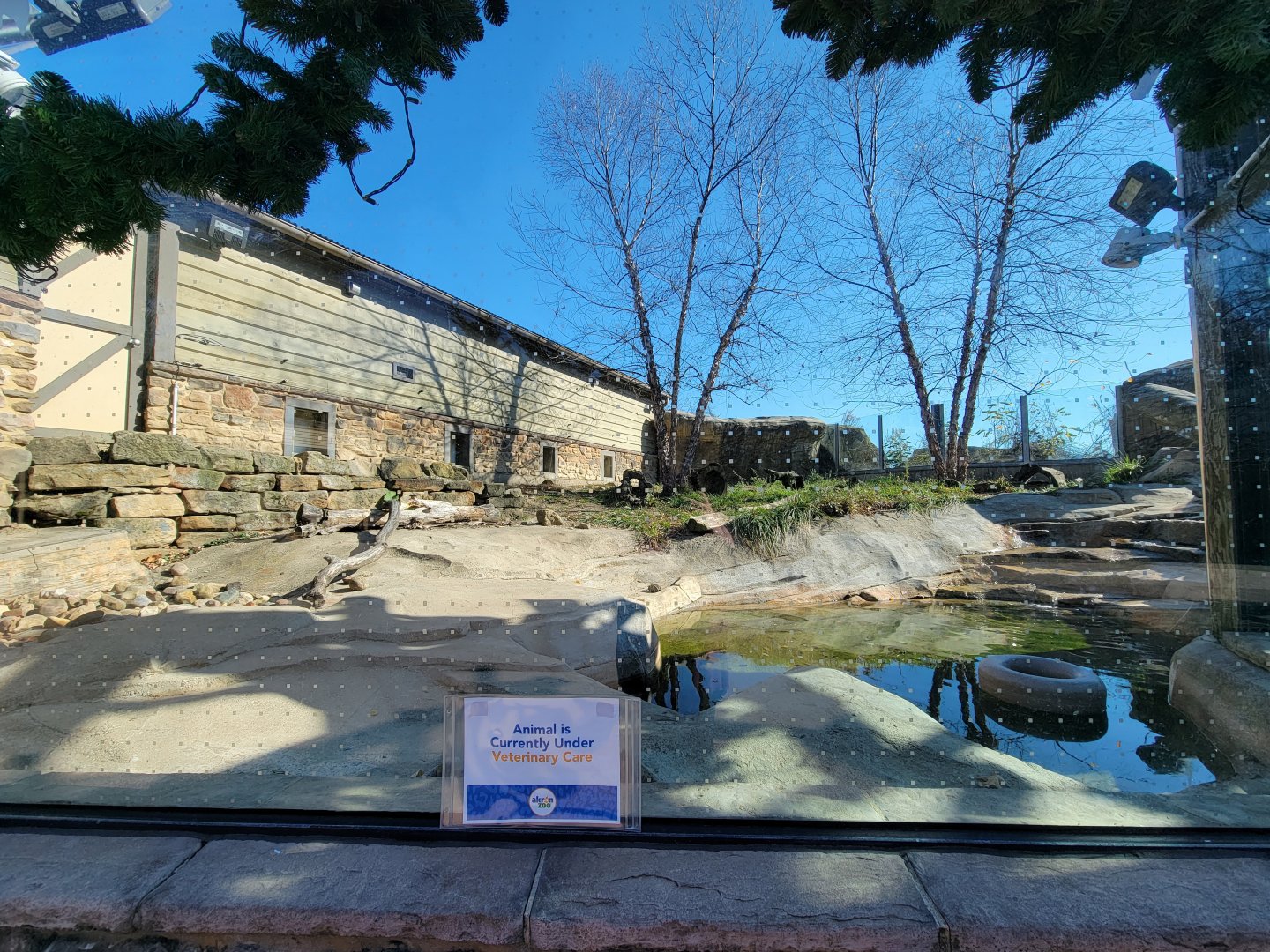 Akron Zoo - North American river otter exhibit