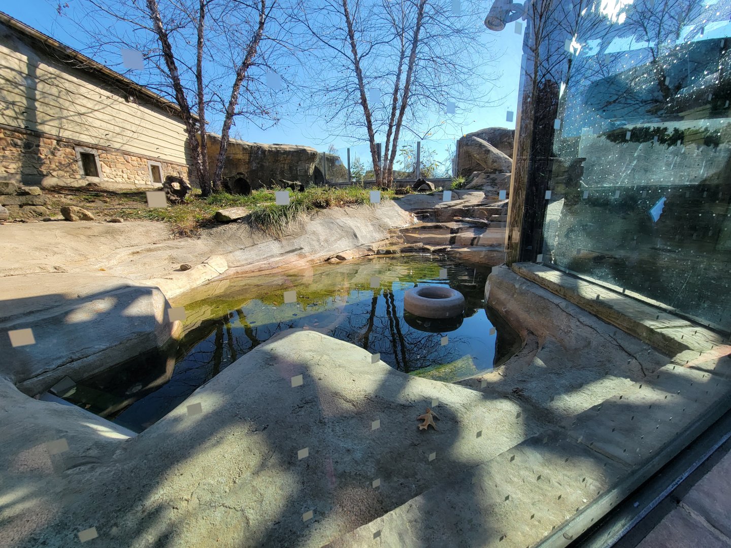 Akron Zoo - North American river otter exhibit