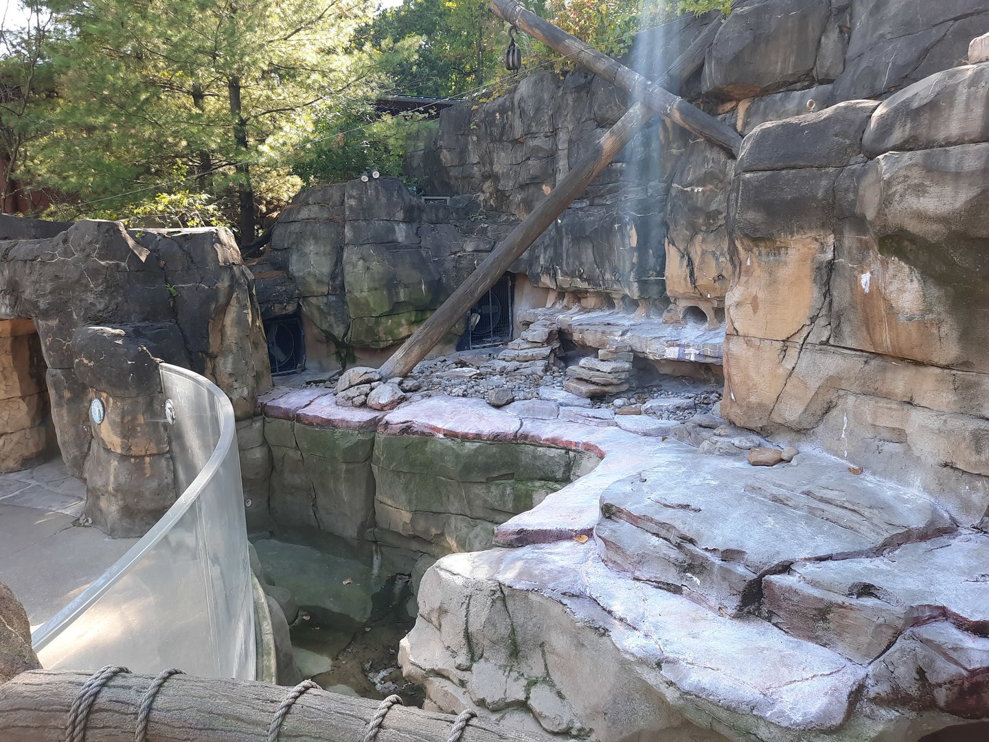 Akron Zoo Oct 2022- Penguin Exhibit (Closed due to Avian Flu)