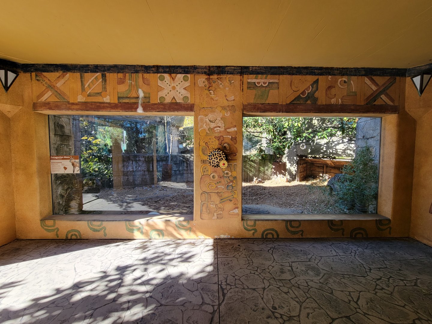 Akron Zoo - Patagonian mara