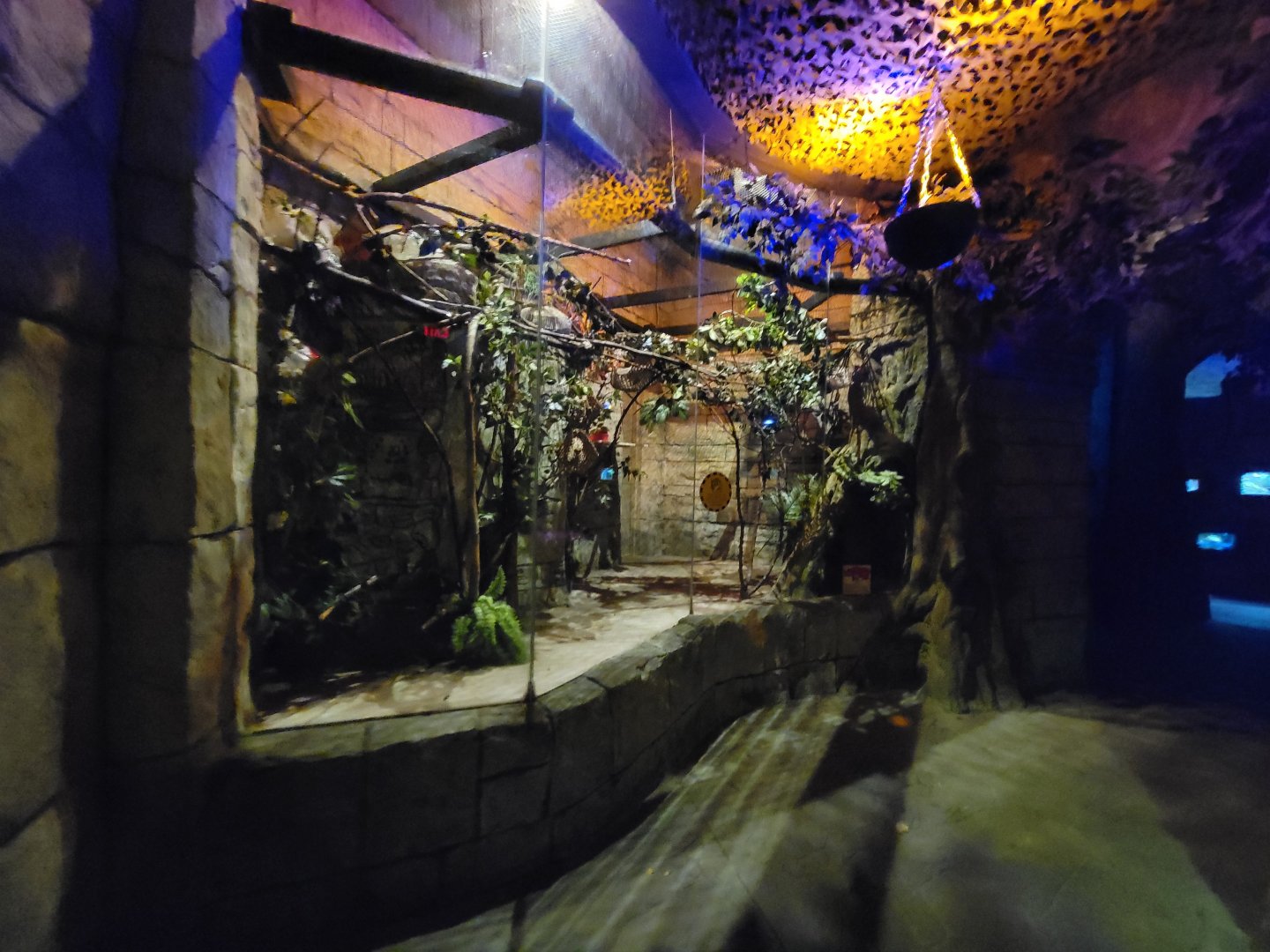 Akron Zoo - Pygmy slow loris exhibit