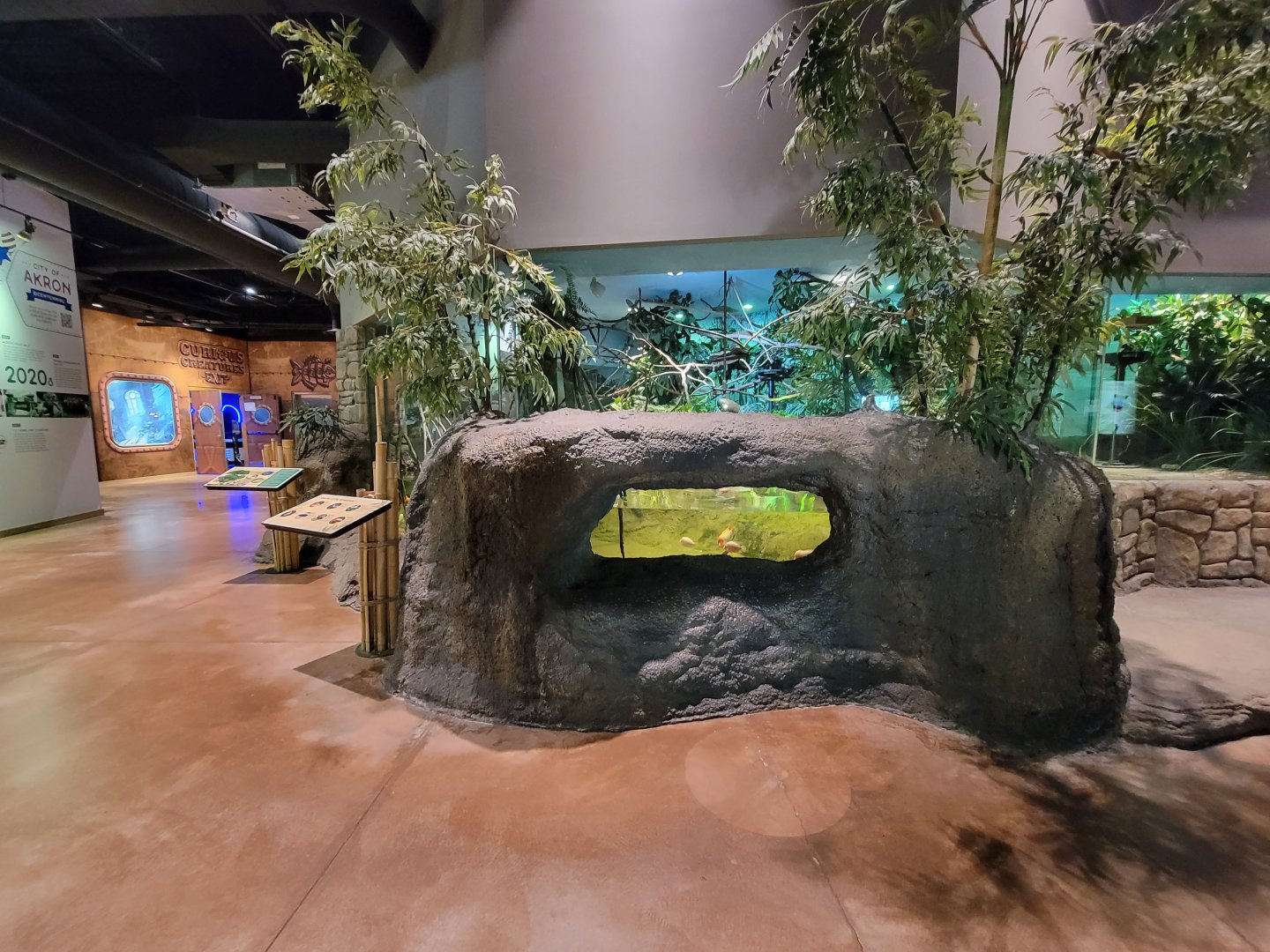 Akron Zoo - Rainforest exhibit