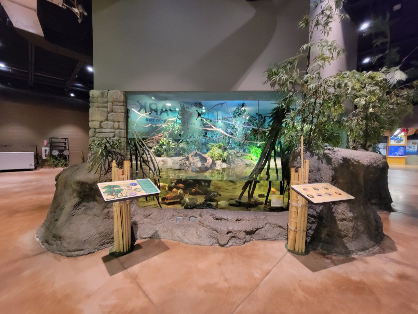 Akron Zoo - Rainforest exhibit