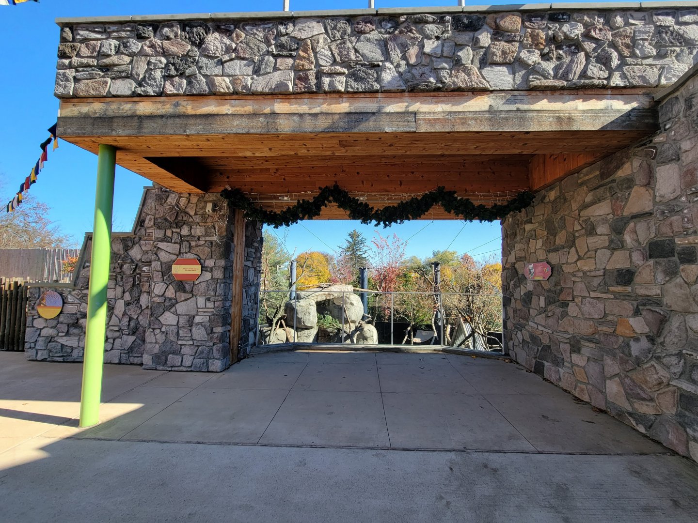 Akron Zoo - Red pandas