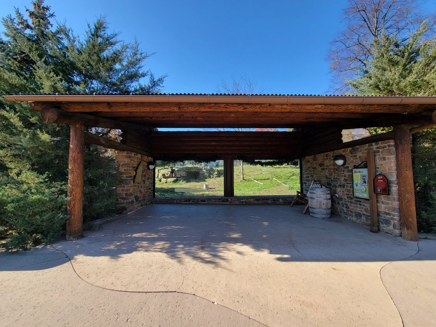 Akron Zoo - Red wolf main viewing