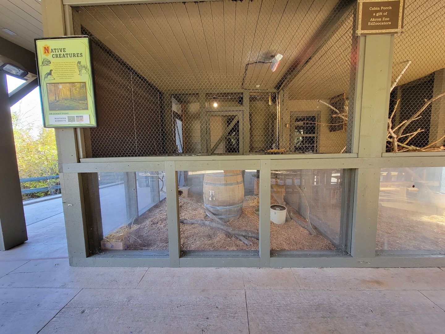 Akron Zoo Rotational exhibit, northern bobwhite