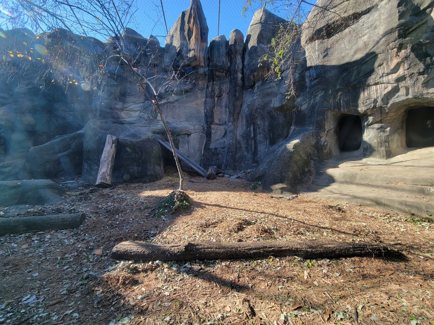 Akron Zoo - Snow leopard exhibit