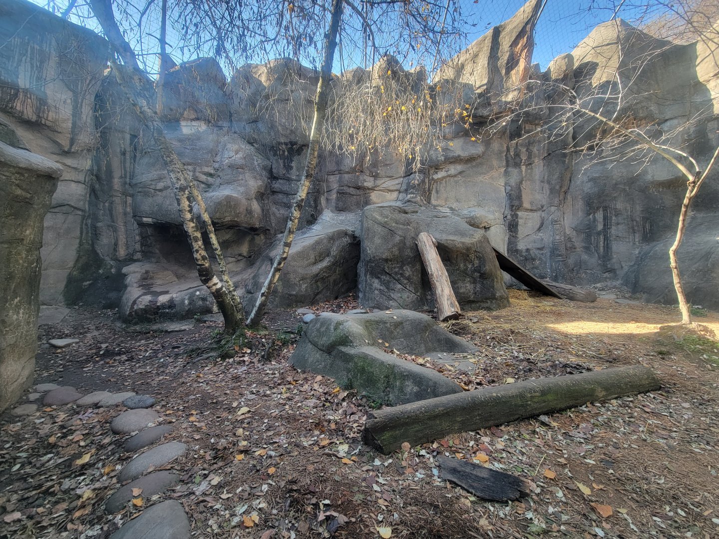 Akron Zoo - Snow leopard exhibit