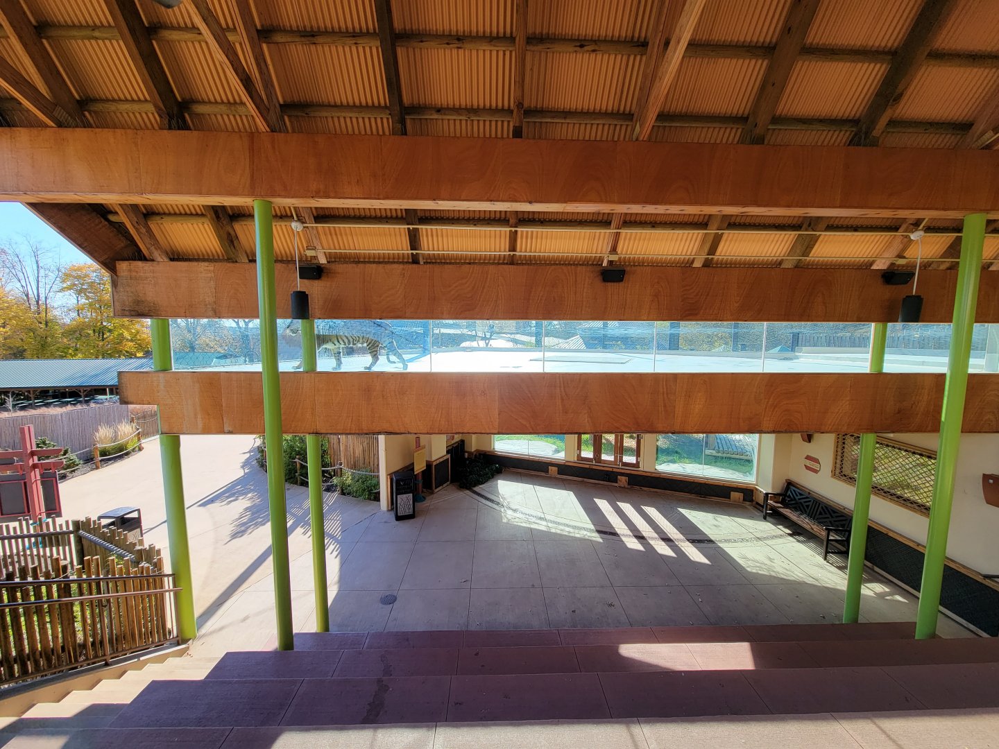 Akron Zoo - Sumatran tiger exhibit, upper area of seated viewing