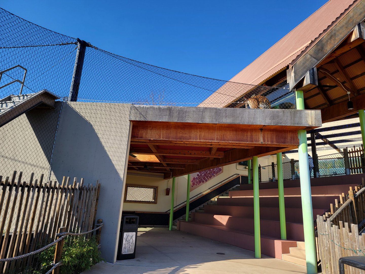Akron Zoo - Sumatran tiger exhibit